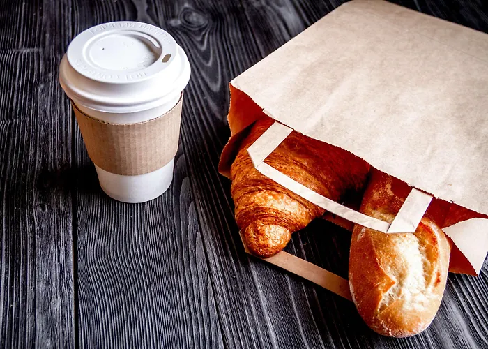 Sol Falco Menorca Son Xoriguer